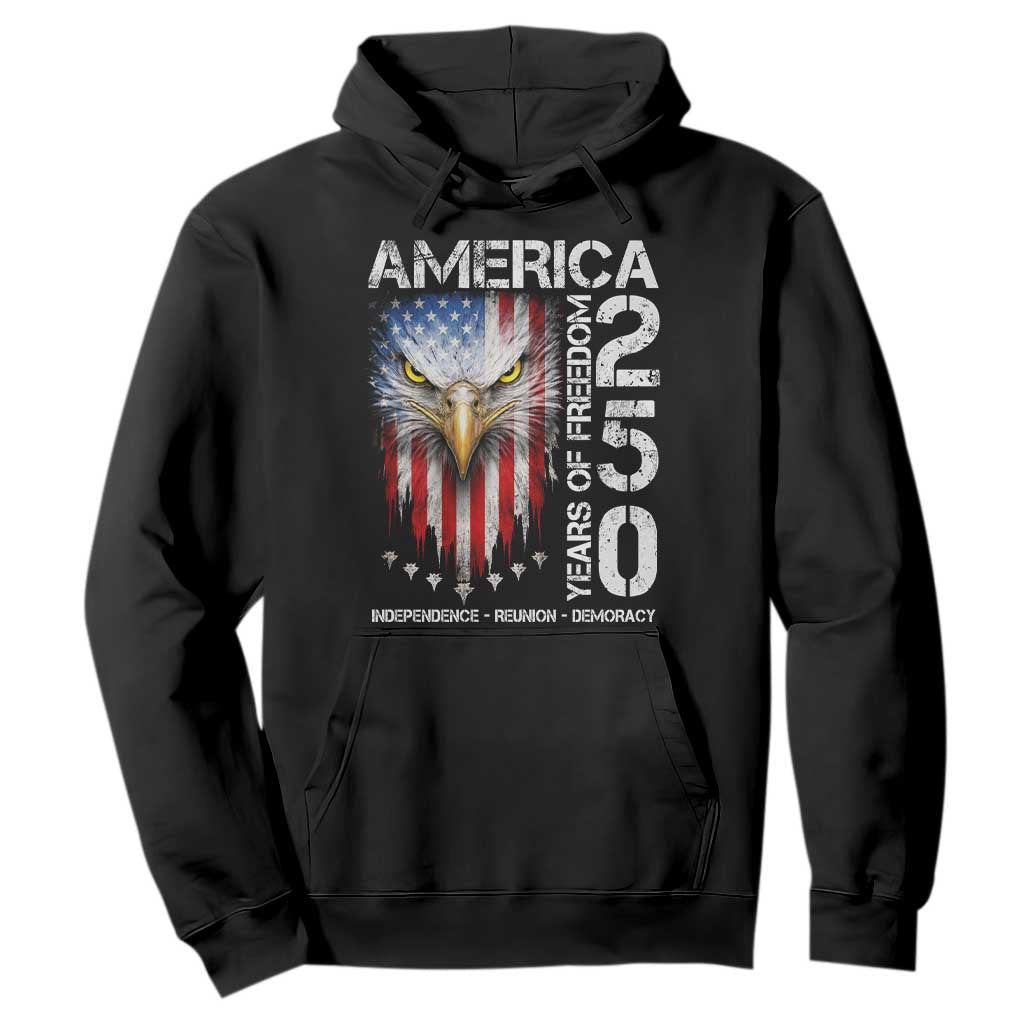 America 250 Years Of Freedom Hoodie USA Anniversary Bald Eagle Patriotic Jets TS11 Black Print Your Wear