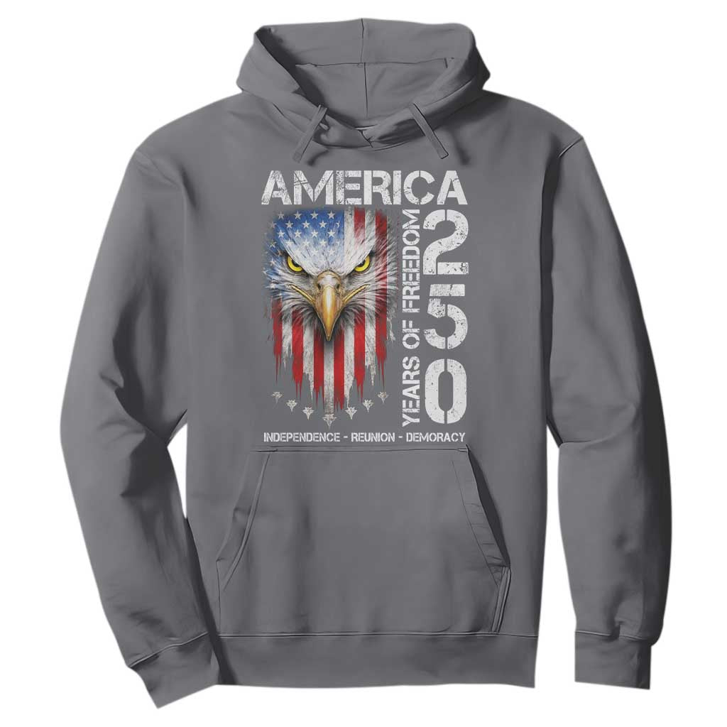 America 250 Years Of Freedom Hoodie USA Anniversary Bald Eagle Patriotic Jets TS11 Charcoal Print Your Wear