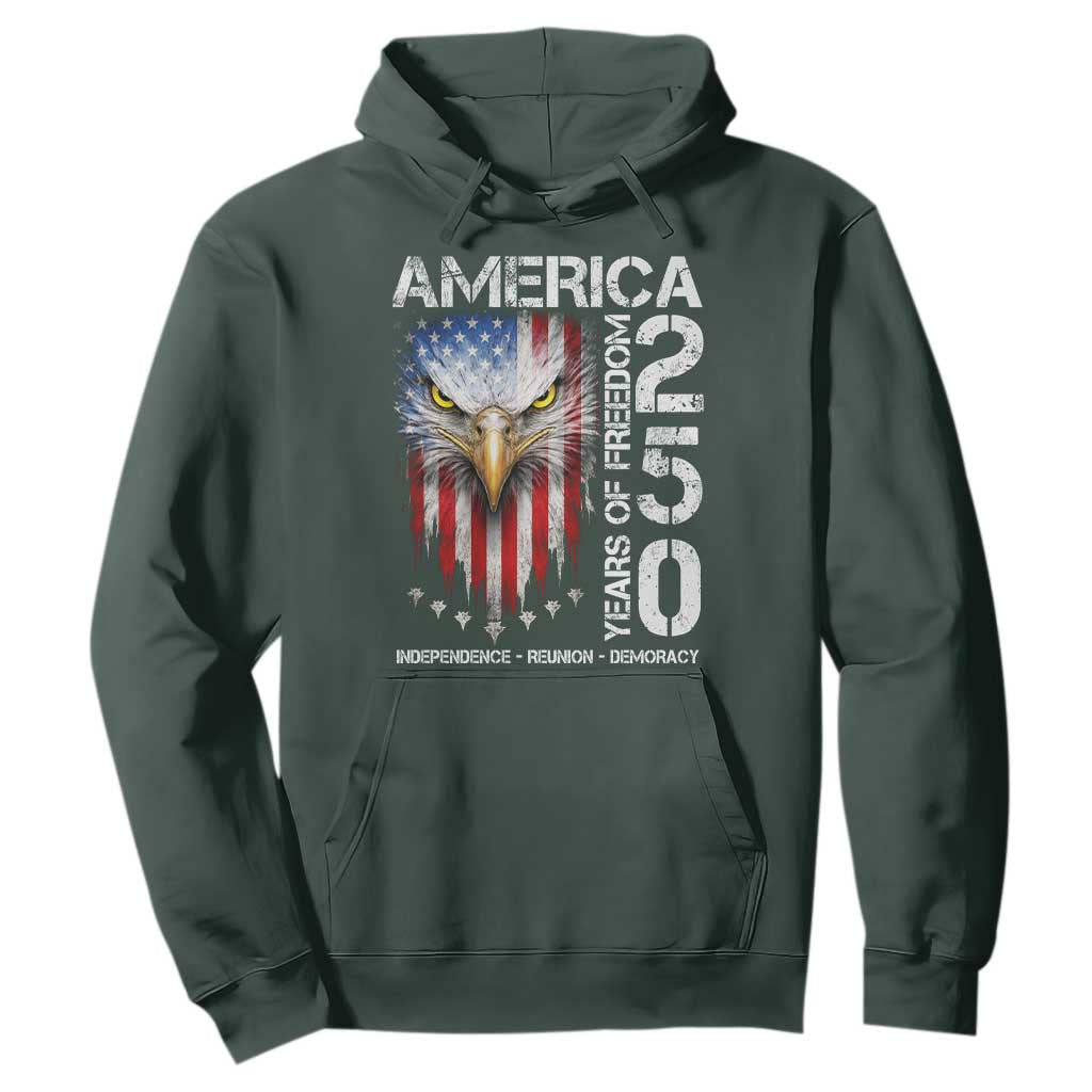 America 250 Years Of Freedom Hoodie USA Anniversary Bald Eagle Patriotic Jets TS11 Dark Forest Green Print Your Wear