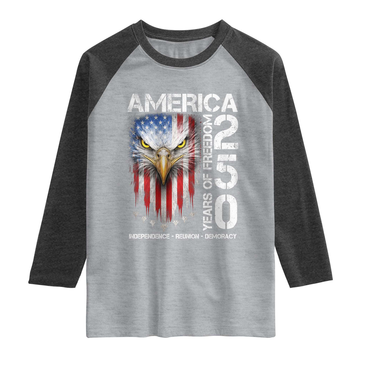 America 250 Years Of Freedom Raglan Shirt USA Anniversary Bald Eagle Patriotic Jets TS11 Heather Gray Heather Charcoal Print Your Wear