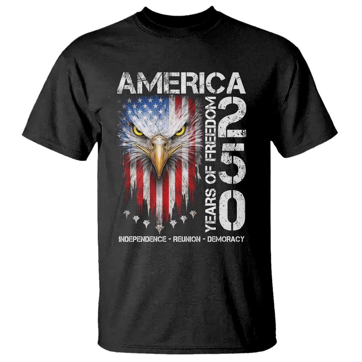 America 250 Years Of Freedom T Shirt USA Anniversary Bald Eagle Patriotic Jets TS11 Black Print Your Wear