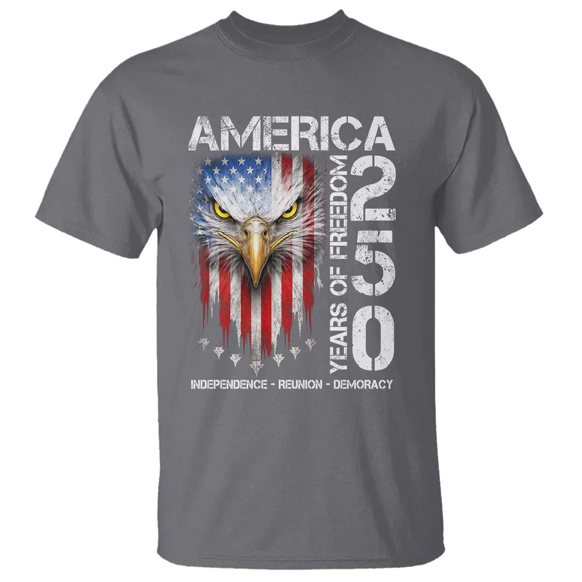America 250 Years Of Freedom T Shirt USA Anniversary Bald Eagle Patriotic Jets TS11 Charcoal Print Your Wear