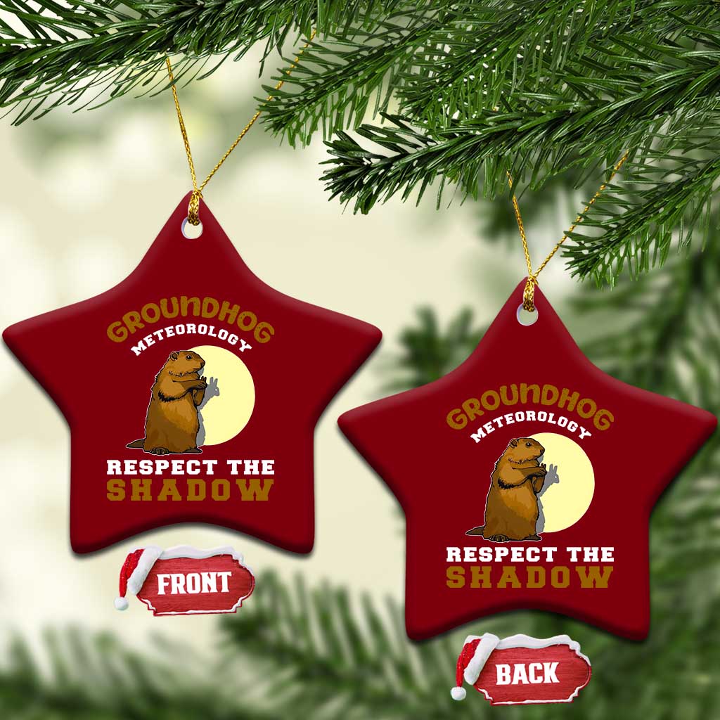 Funny Groundhog Day Ceramic Ornament Groundhog Meteorology Respect The Shadow TS11 Print Your Wear