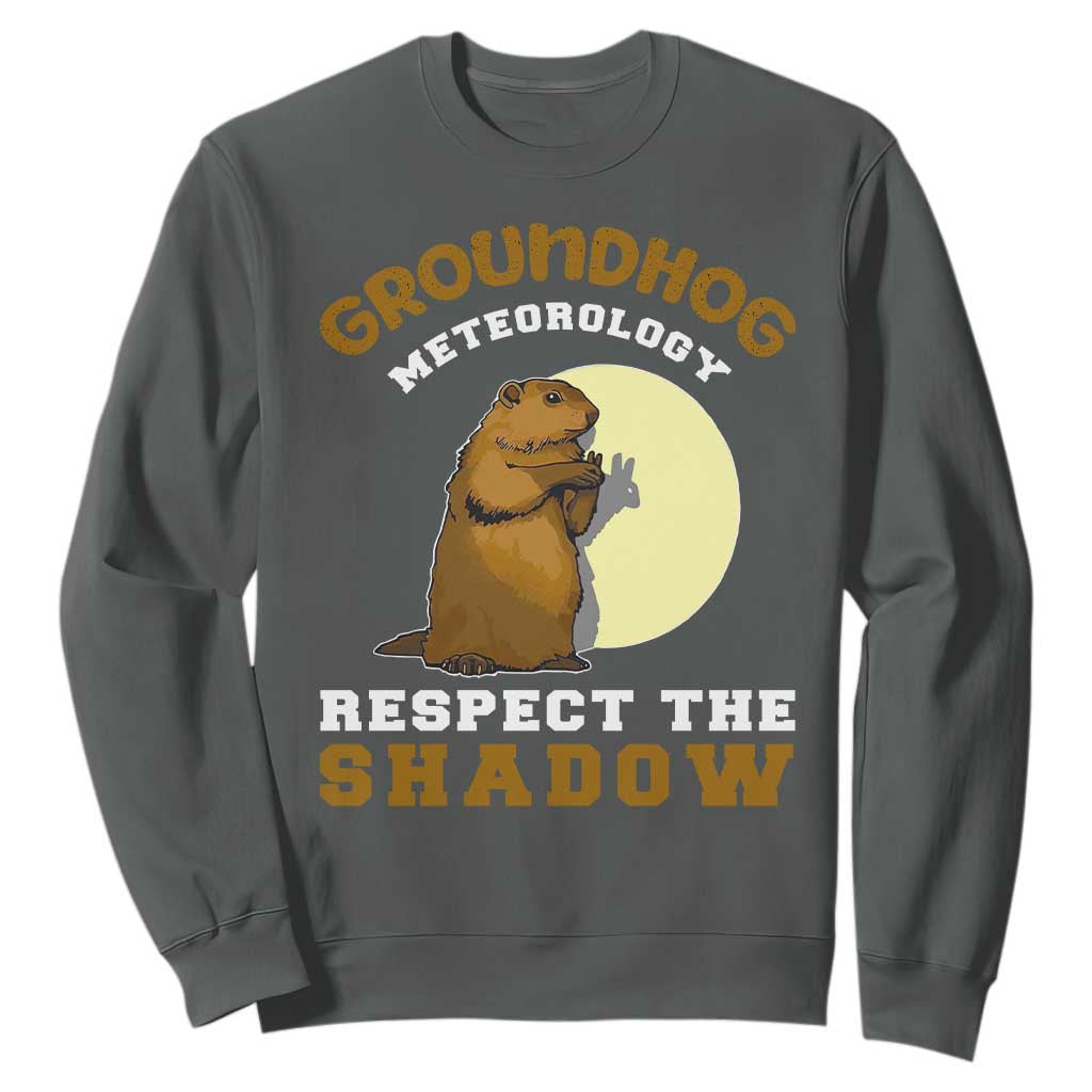 Funny Groundhog Day Sweatshirt Groundhog Meteorology Respect The Shadow TS11 Dark Heather Print Your Wear