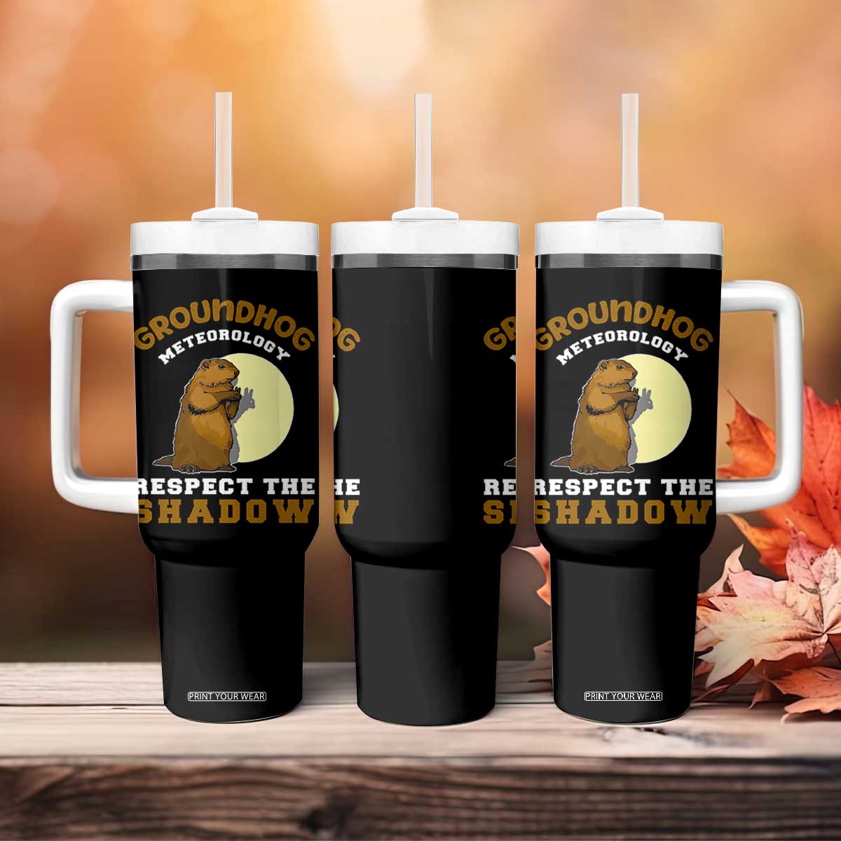 Funny Groundhog Day Tumbler With Handle Groundhog Meteorology Respect The Shadow TS11 Print Your Wear