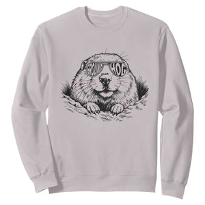 Funny Groundhog Face Woodchuck Sunglassess Sweatshirt TS11 Ice Gray Print Your Wear