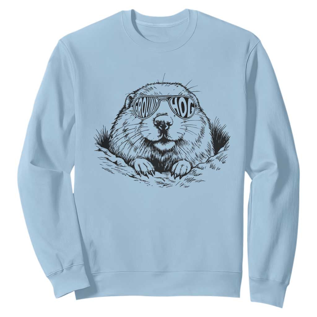 Funny Groundhog Face Woodchuck Sunglassess Sweatshirt TS11 Light Blue Print Your Wear