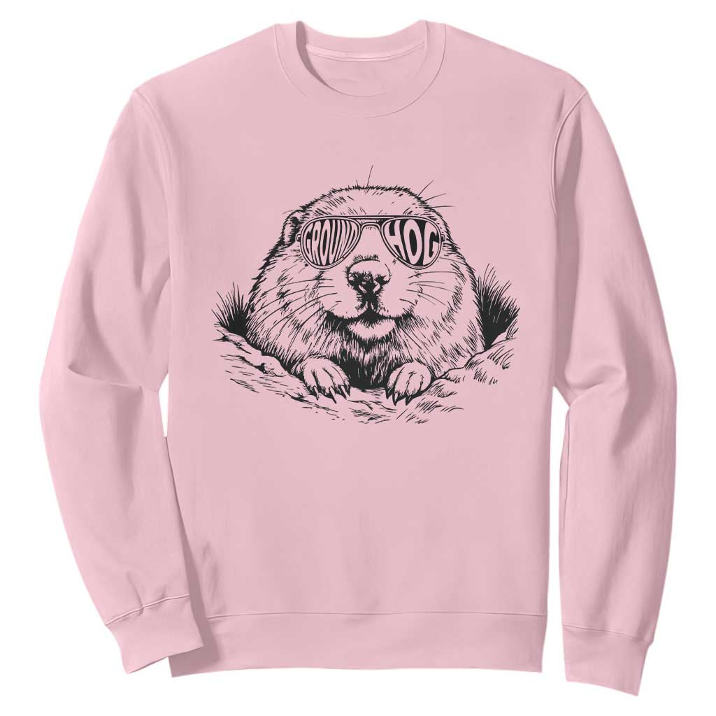 Funny Groundhog Face Woodchuck Sunglassess Sweatshirt TS11 Light Pink Print Your Wear