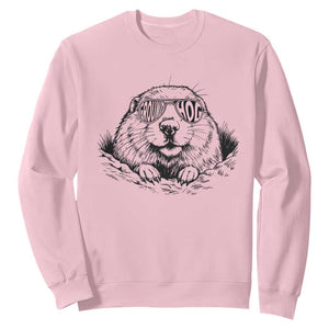Funny Groundhog Face Woodchuck Sunglassess Sweatshirt TS11 Light Pink Print Your Wear