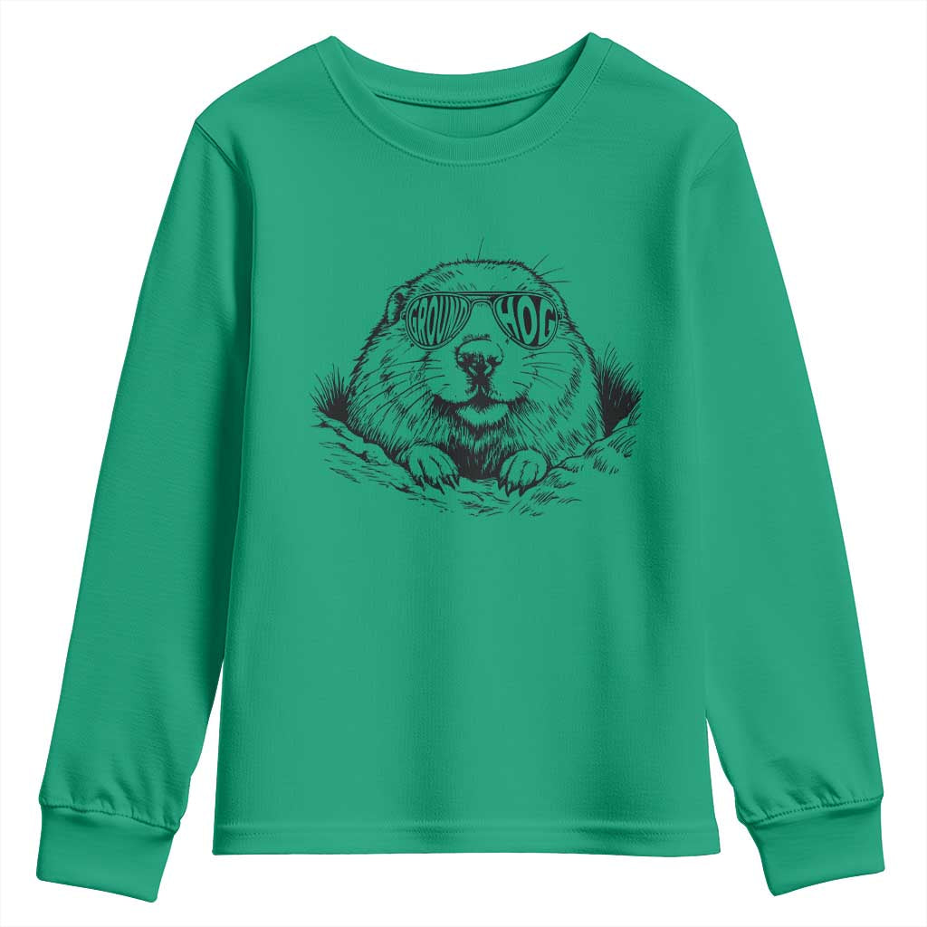 Funny Groundhog Face Woodchuck Sunglassess Youth Sweatshirt TS11 Irish Green Print Your Wear