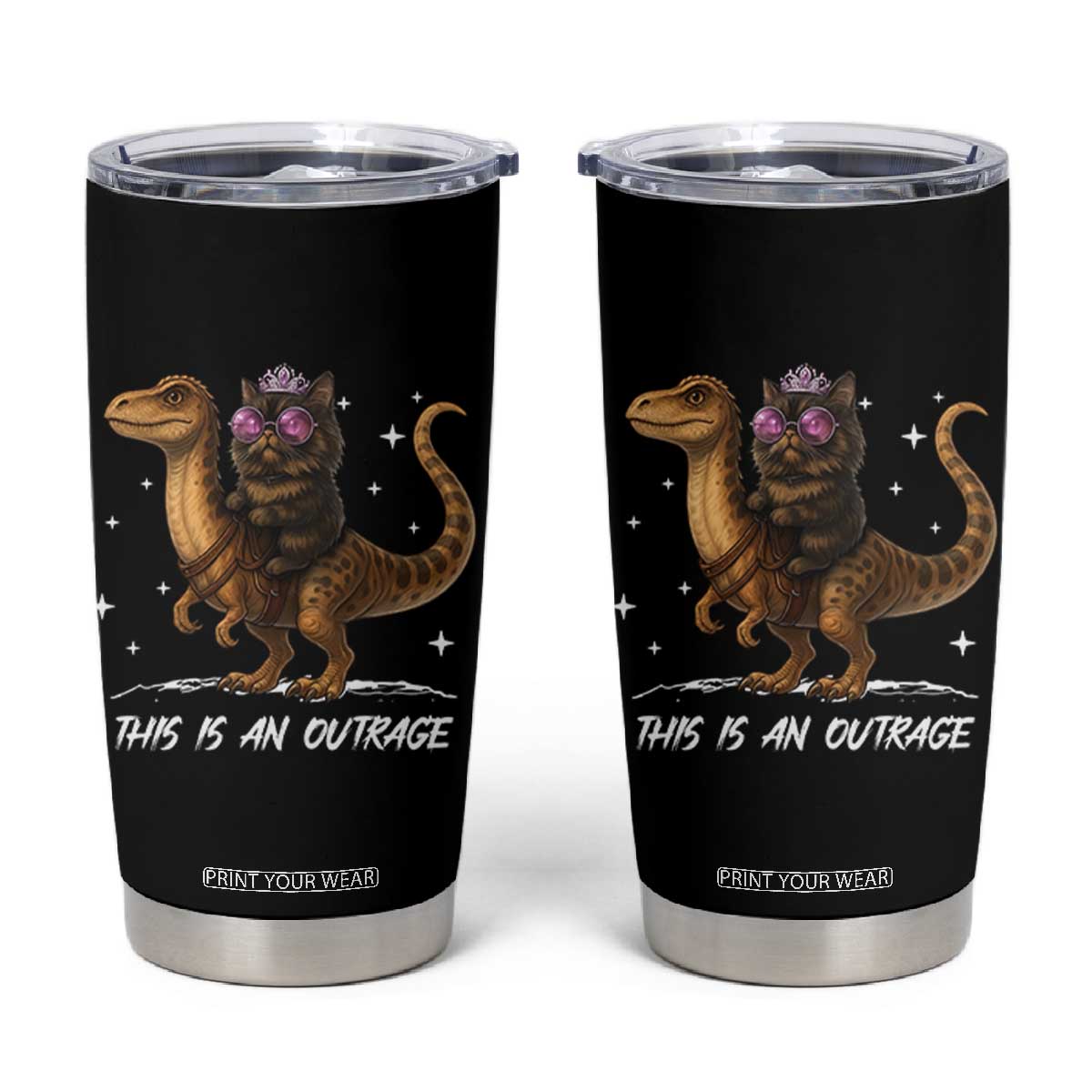 Dungeon Cat This Is An Outrage Tumbler Cup Funny Princess Kitten Dinosaur TS11 Black Print Your Wear