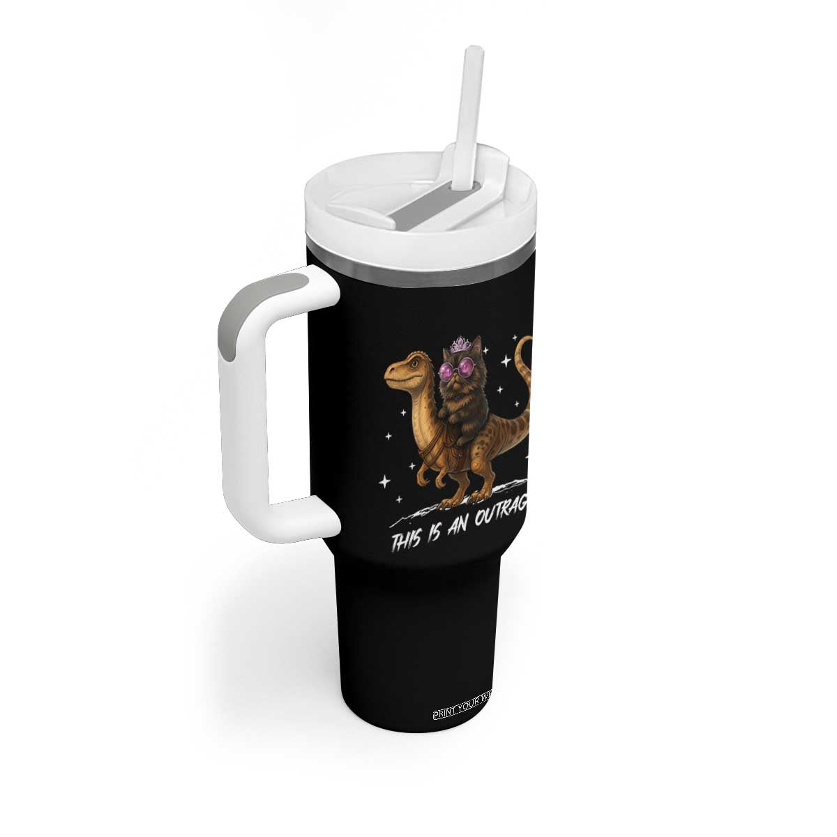 Dungeon Cat This Is An Outrage Tumbler With Handle Funny Princess Kitten Dinosaur TS11 Print Your Wear