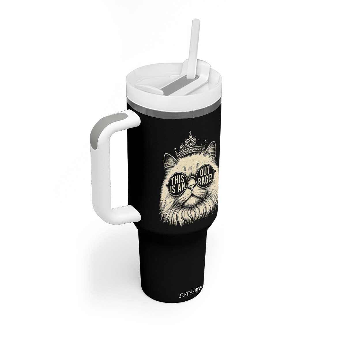 Dungeon Cat This Is An Outrage Tumbler With Handle Funny Princess Kitten TS11 Print Your Wear
