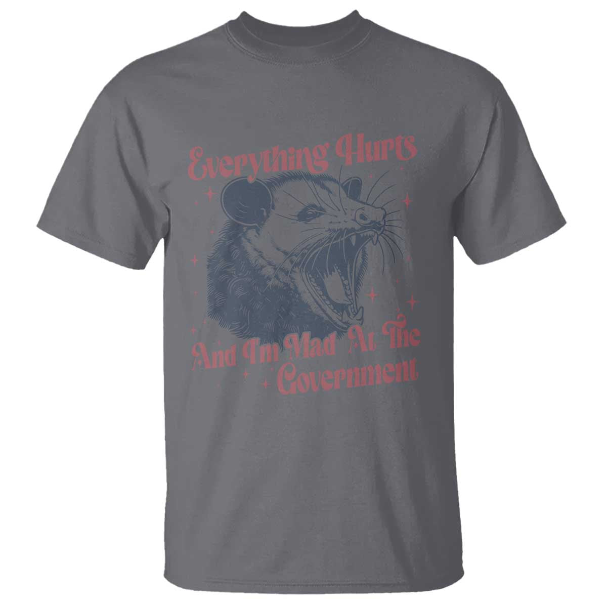 Everything Hurts And I Am Mad At The Government T Shirt Funny Burnout Possum TS11 Charcoal Print Your Wear