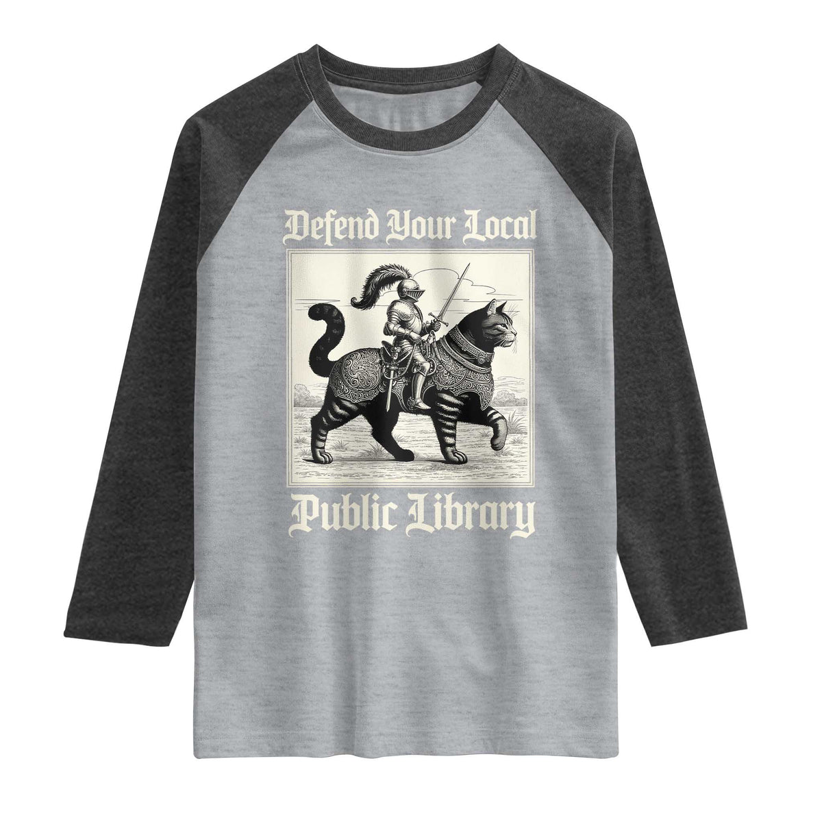 Defend Your Local Public Library Raglan Shirt Knight Cat for Fantasy Book Lovers TS11 Heather Gray Heather Charcoal Print Your Wear