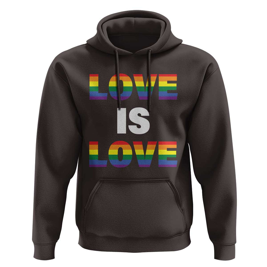 LGBTQ Hoodie Love Is Love Rainbow Gay Pride Queer TS11 Dark Chocolate Print Your Wear
