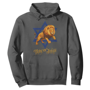 Tribe Of Judah Hoodie Bible History Hebrew Christ Israelite Lion TS11 Dark Heather Print Your Wear