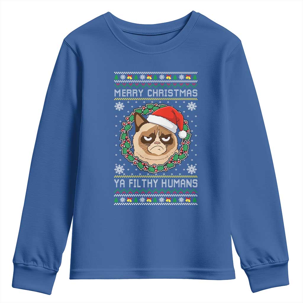 Merry Christmas Ya Filthy Humans Cat Youth Sweatshirt Funny Xmas Grumpy Cat TS11 Royal Blue Print Your Wear