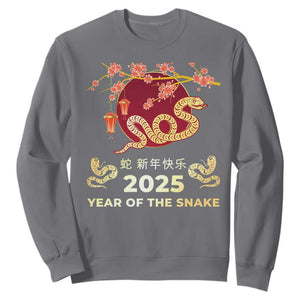 Chinese Lunar New Year 2025 Year Of The Snake Sweatshirt Cherry Blossom TS11 Charcoal Print Your Wear