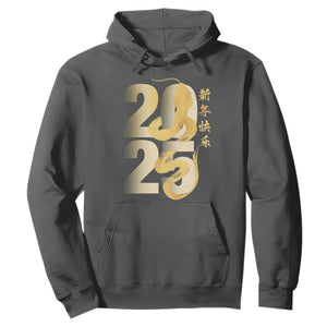 Happy Chinese New Year 2025 Hoodie Calligraphy Year Of The Snake Zodiac Animals TS11 Dark Heather Print Your Wear