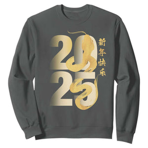Happy Chinese New Year 2025 Sweatshirt Calligraphy Year Of The Snake Zodiac Animals TS11 Dark Heather Print Your Wear