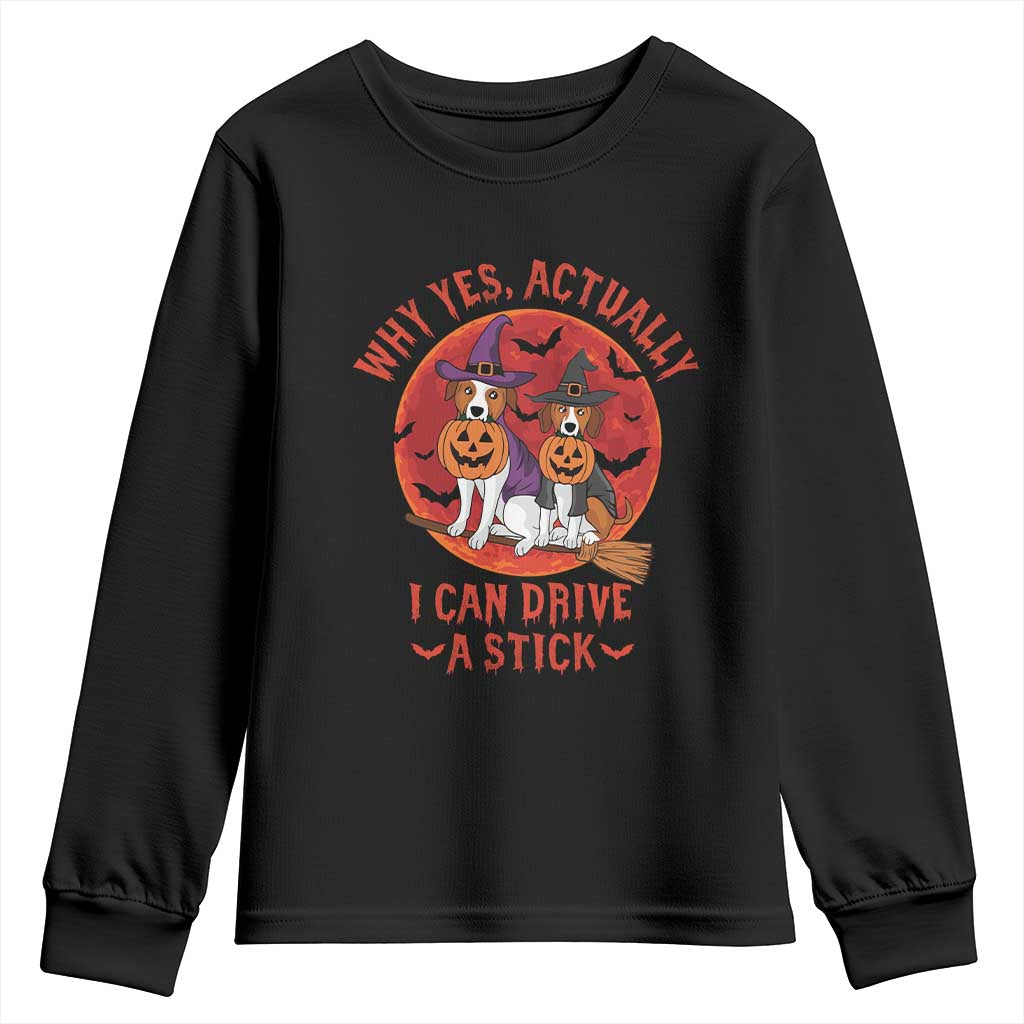 Funny Halloween Dog Youth Sweatshirt Why Yes Actually I Can Drive A Stick Witch TS11 Black Print Your Wear