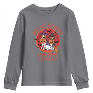Funny Halloween Dog Youth Sweatshirt Why Yes Actually I Can Drive A Stick Witch TS11 Charcoal Print Your Wear