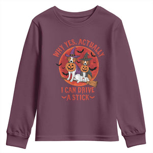 Funny Halloween Dog Youth Sweatshirt Why Yes Actually I Can Drive A Stick Witch TS11 Maroon Print Your Wear