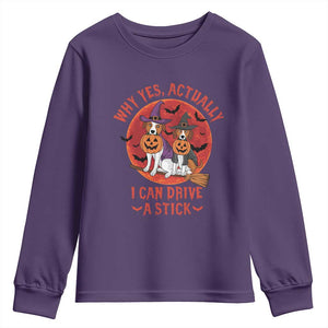 Funny Halloween Dog Youth Sweatshirt Why Yes Actually I Can Drive A Stick Witch TS11 Purple Print Your Wear