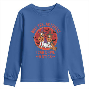 Funny Halloween Dog Youth Sweatshirt Why Yes Actually I Can Drive A Stick Witch TS11 Royal Blue Print Your Wear