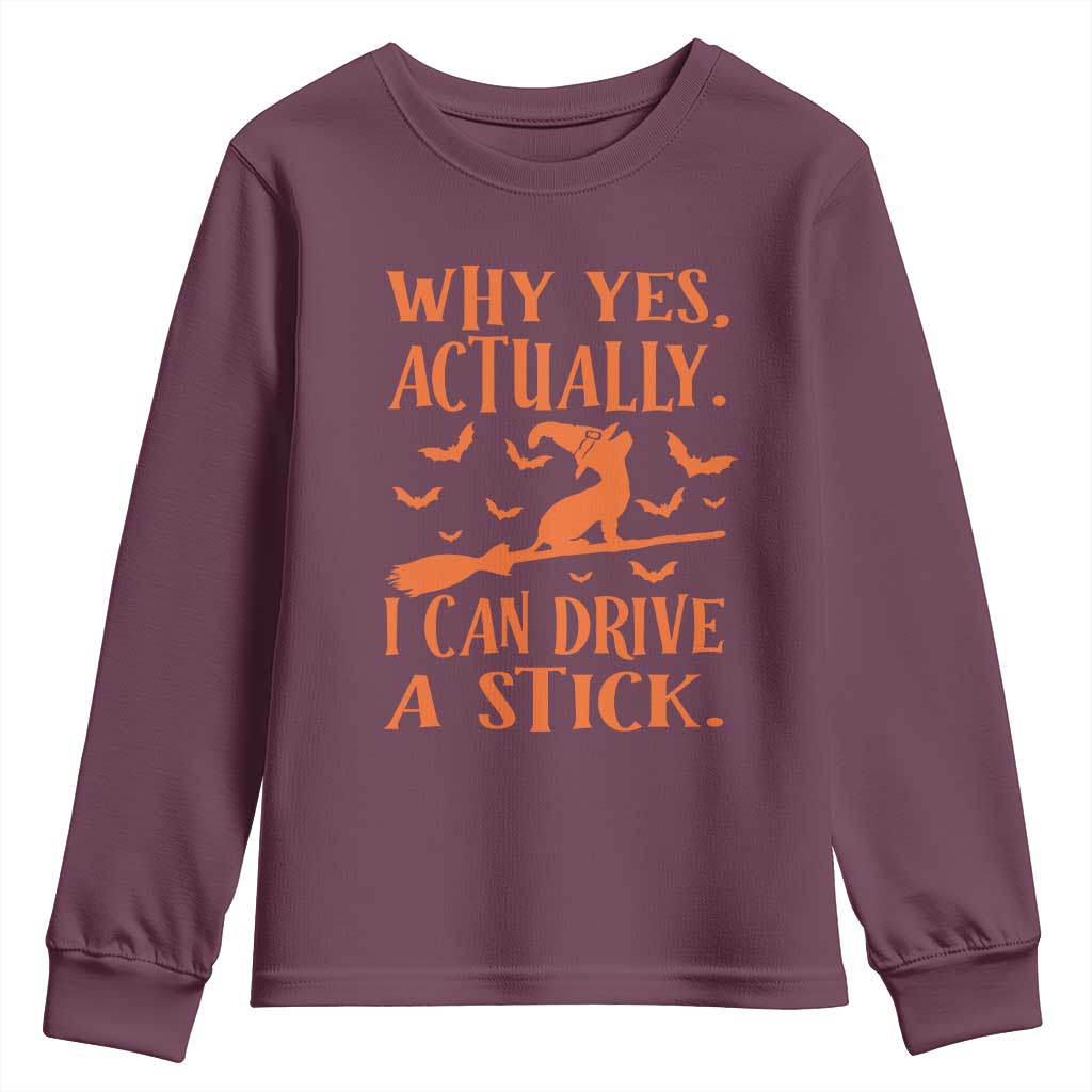Halloween Dog Youth Sweatshirt Why Yes Actually I Can Drive A Stick Witch TS11 Maroon Print Your Wear