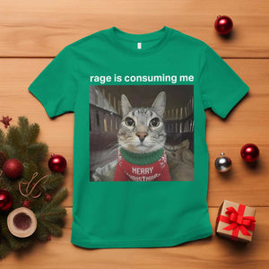 Rage Is Consuming Me Christmas T Shirt Funny Silly Staring Cat Meme Xmas Ugly Sweater TS11 Irish Green Print Your Wear