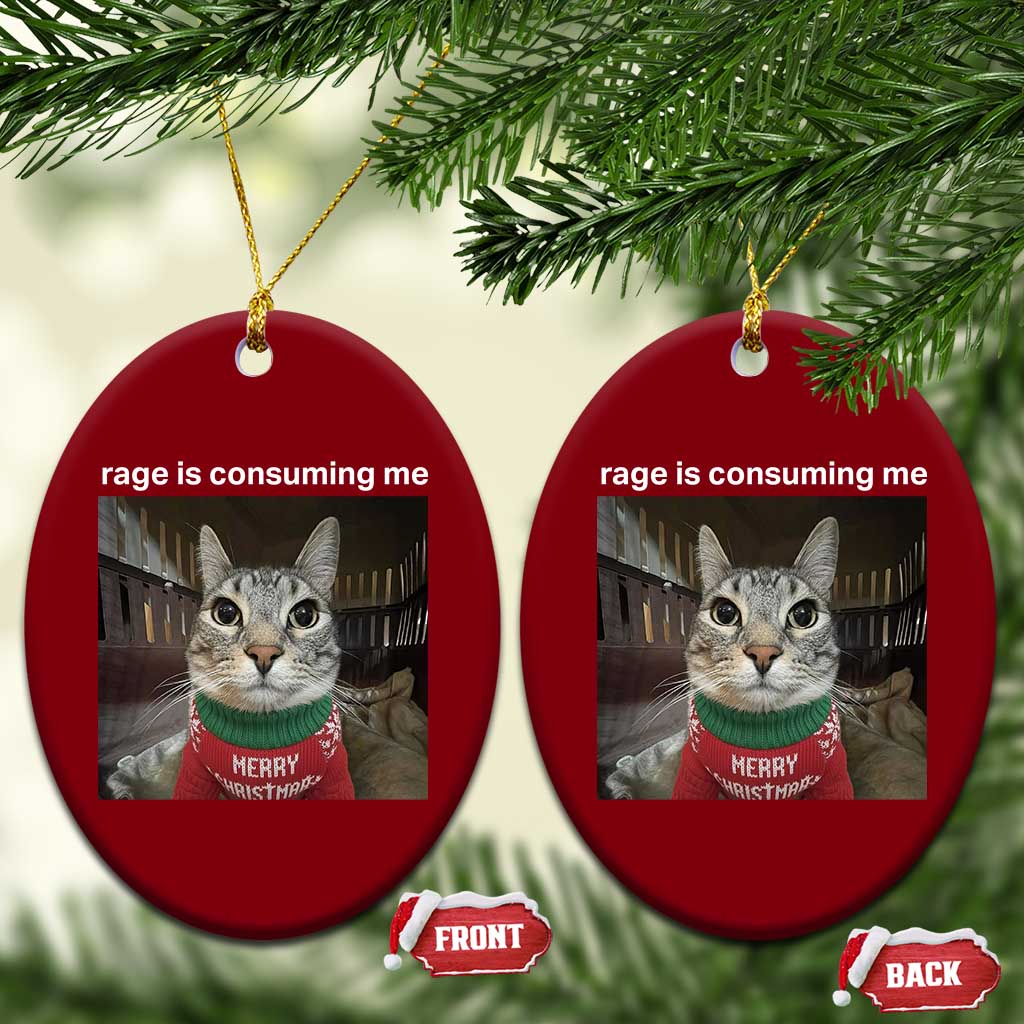 Rage Is Consuming Me Christmas Ceramic Ornament Funny Silly Staring Cat Meme Xmas Ugly Sweater TS11 Print Your Wear