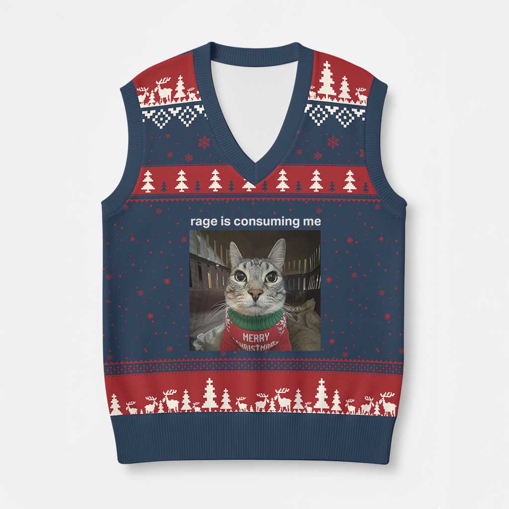 Rage Is Consuming Me Xmas V-Neck Knit Sweater Vest Funny Silly Staring Cat Meme Xmas Ugly Sweater TS11 Navy Red Print Your Wear