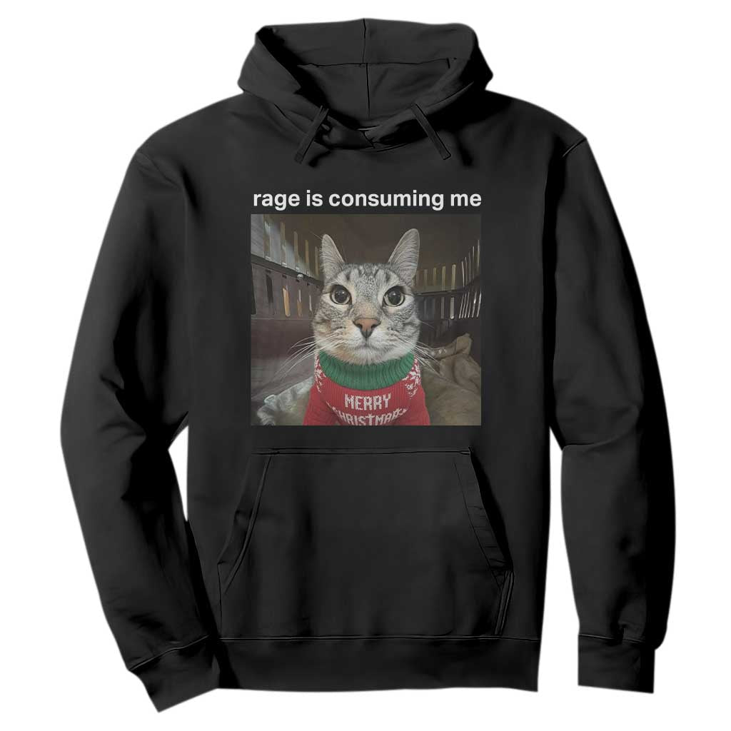 Rage Is Consuming Me Christmas Hoodie Funny Silly Staring Cat Meme Xmas Ugly Sweater TS11 Black Print Your Wear