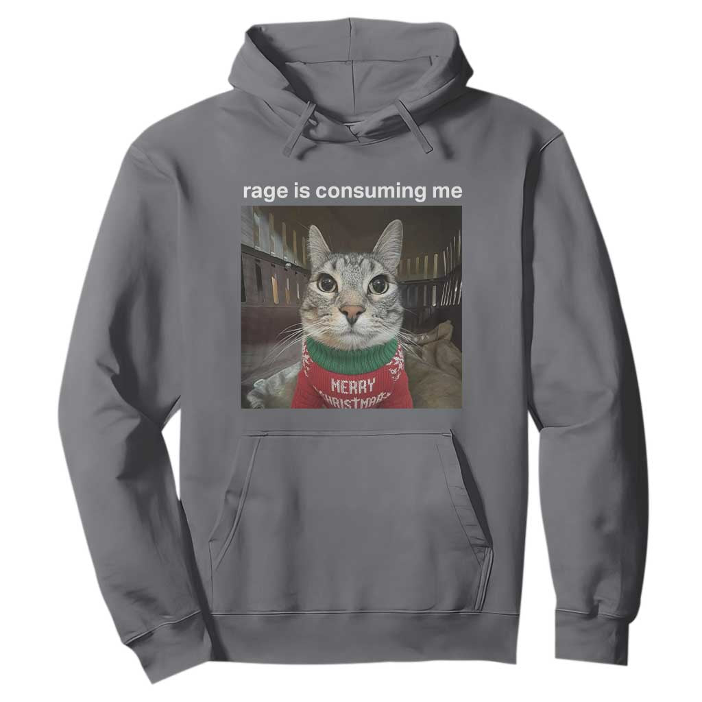 Rage Is Consuming Me Christmas Hoodie Funny Silly Staring Cat Meme Xmas Ugly Sweater TS11 Charcoal Print Your Wear