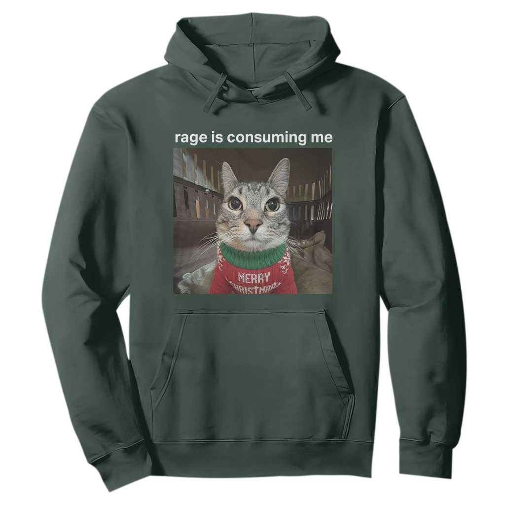 Rage Is Consuming Me Christmas Hoodie Funny Silly Staring Cat Meme Xmas Ugly Sweater TS11 Dark Forest Green Print Your Wear