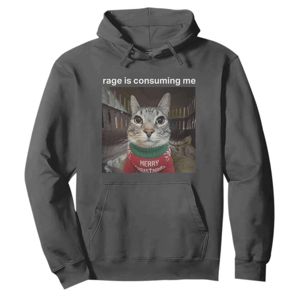 Rage Is Consuming Me Christmas Hoodie Funny Silly Staring Cat Meme Xmas Ugly Sweater TS11 Dark Heather Print Your Wear