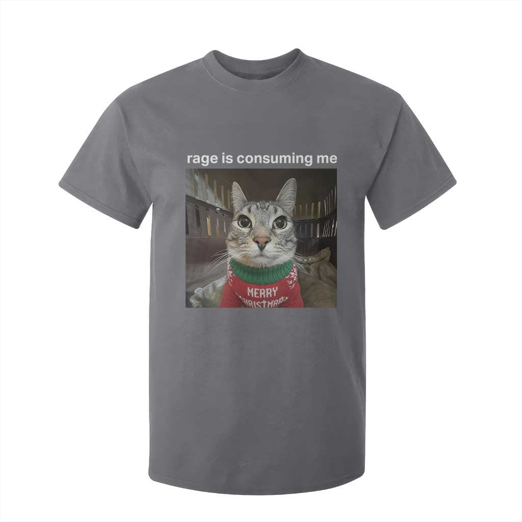 Rage Is Consuming Me Christmas T Shirt For Kid Funny Silly Staring Cat Meme Xmas Ugly Sweater TS11 Charcoal Print Your Wear