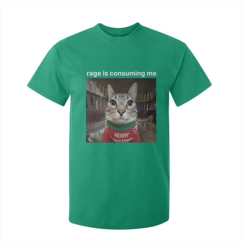 Rage Is Consuming Me Christmas T Shirt For Kid Funny Silly Staring Cat Meme Xmas Ugly Sweater TS11 Irish Green Print Your Wear