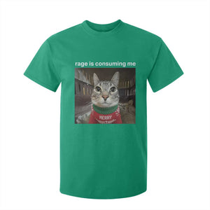Rage Is Consuming Me Christmas T Shirt For Kid Funny Silly Staring Cat Meme Xmas Ugly Sweater TS11 Irish Green Print Your Wear