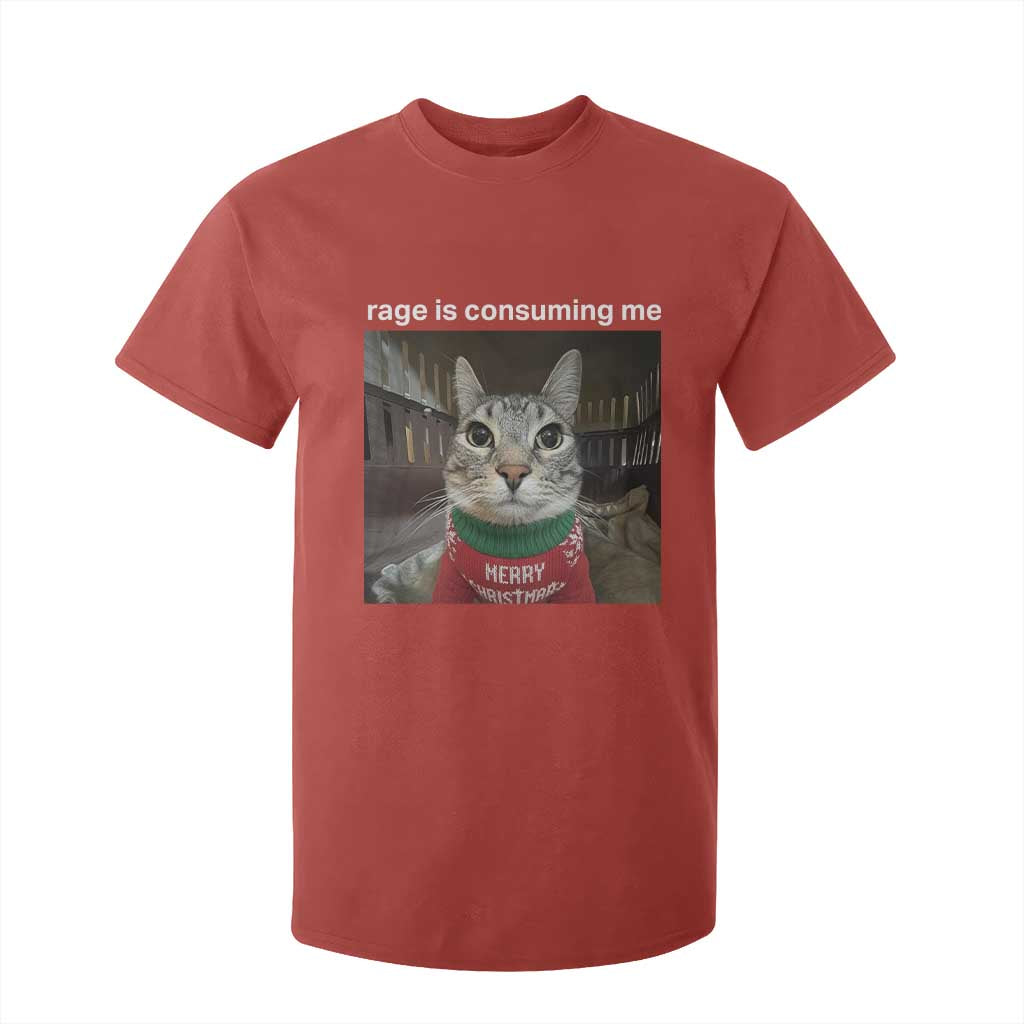 Rage Is Consuming Me Christmas T Shirt For Kid Funny Silly Staring Cat Meme Xmas Ugly Sweater TS11 Red Print Your Wear