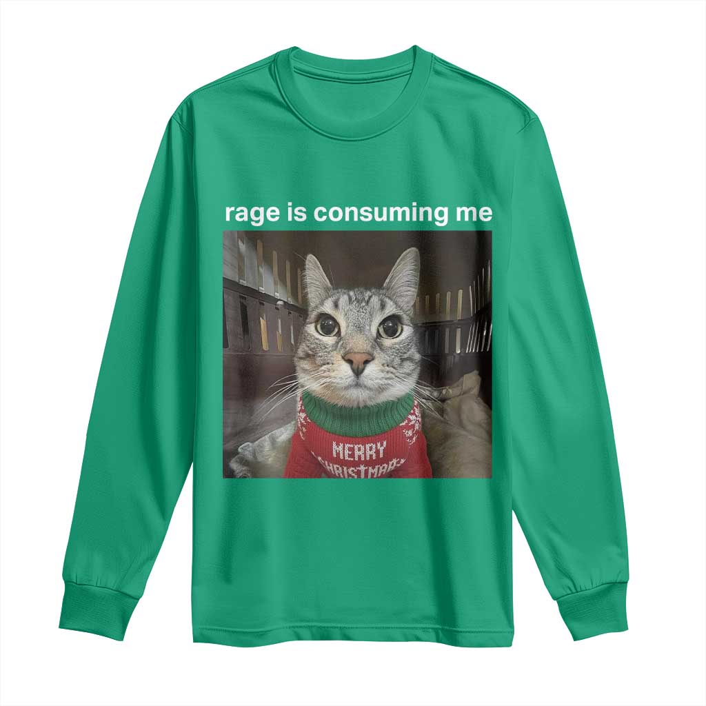 Rage Is Consuming Me Christmas Long Sleeve Shirt Funny Silly Staring Cat Meme Xmas Ugly Sweater TS11 Irish Green Print Your Wear