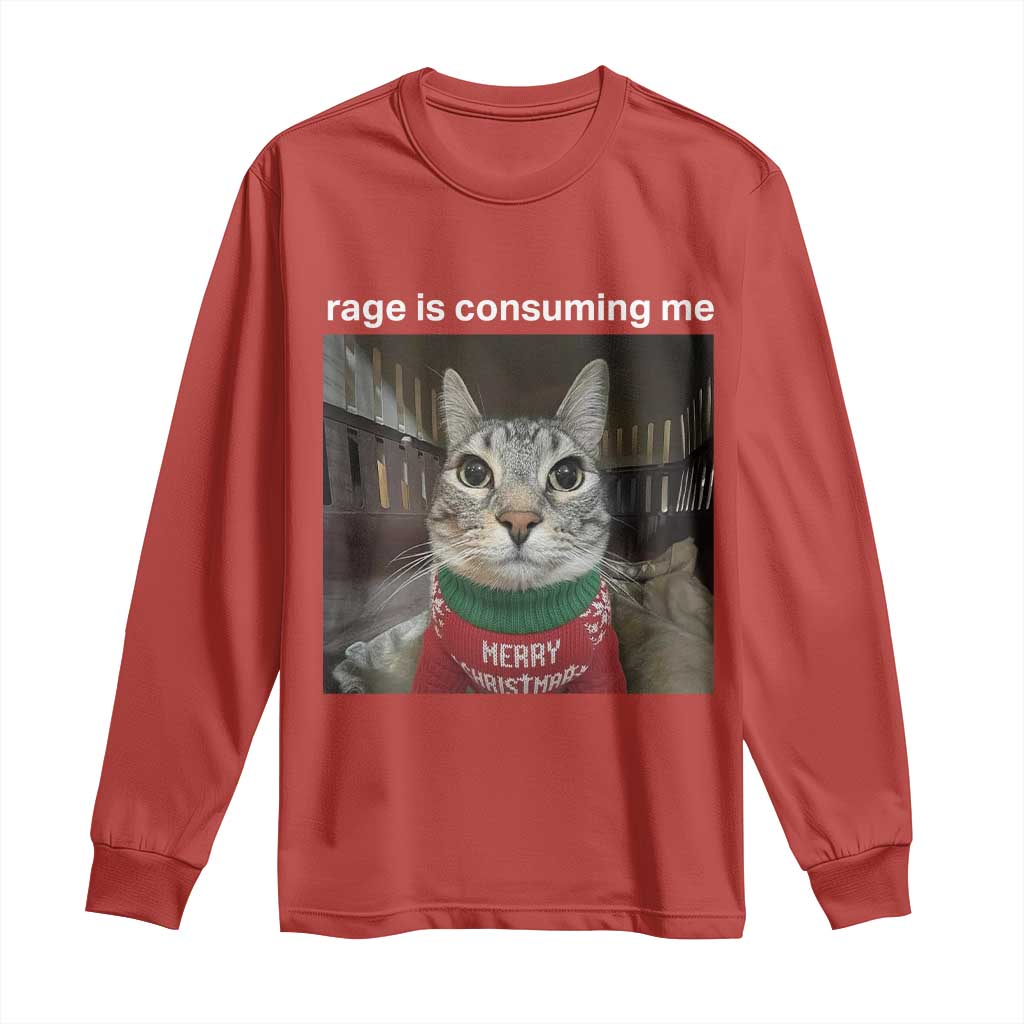 Rage Is Consuming Me Christmas Long Sleeve Shirt Funny Silly Staring Cat Meme Xmas Ugly Sweater TS11 Red Print Your Wear