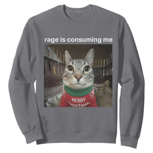 Rage Is Consuming Me Christmas Sweatshirt Funny Silly Staring Cat Meme Xmas Ugly Sweater TS11 Charcoal Print Your Wear