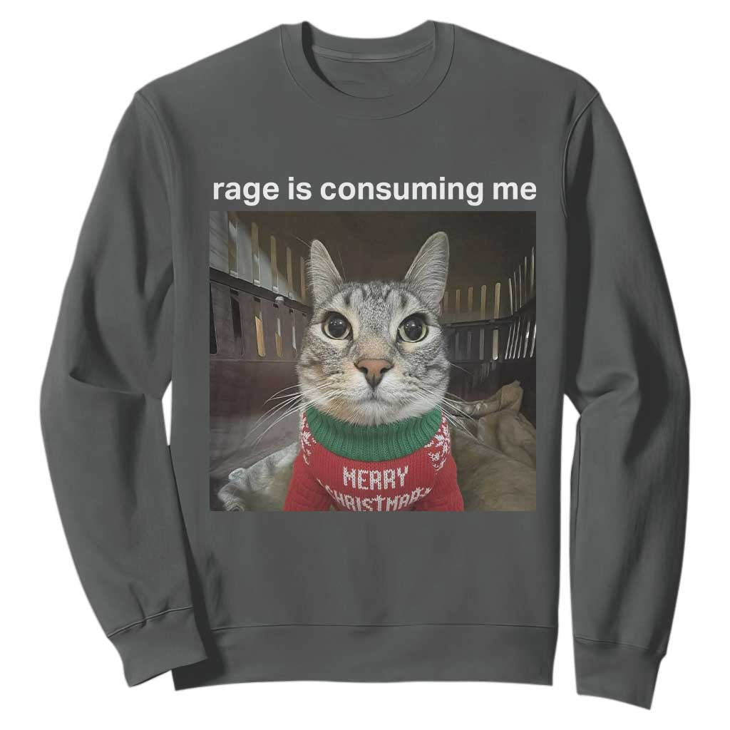 Rage Is Consuming Me Christmas Sweatshirt Funny Silly Staring Cat Meme Xmas Ugly Sweater TS11 Dark Heather Print Your Wear