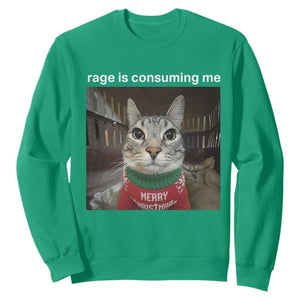 Rage Is Consuming Me Christmas Sweatshirt Funny Silly Staring Cat Meme Xmas Ugly Sweater TS11 Irish Green Print Your Wear