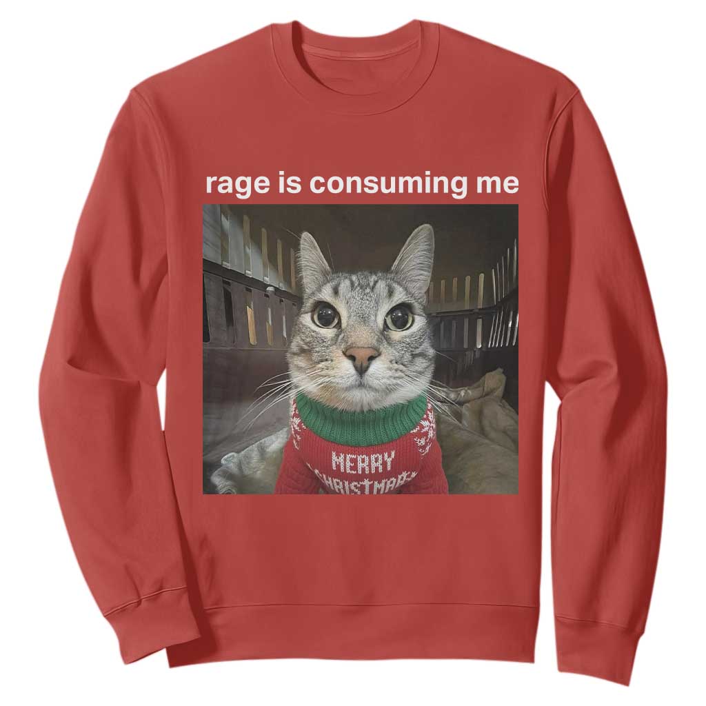 Rage Is Consuming Me Christmas Sweatshirt Funny Silly Staring Cat Meme Xmas Ugly Sweater TS11 Red Print Your Wear