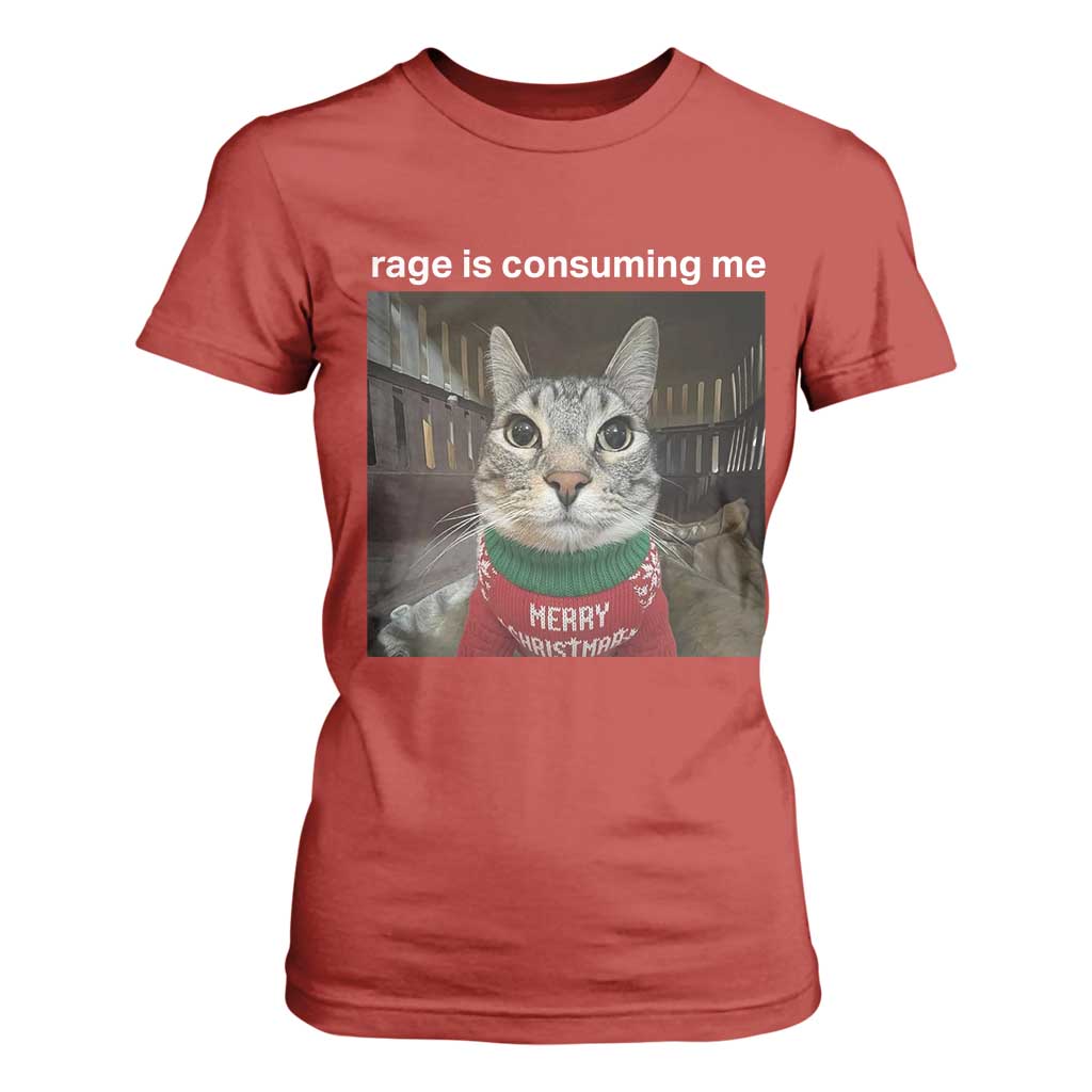 Rage Is Consuming Me Christmas T Shirt For Women Funny Silly Staring Cat Meme Xmas Ugly Sweater TS11 Red Print Your Wear