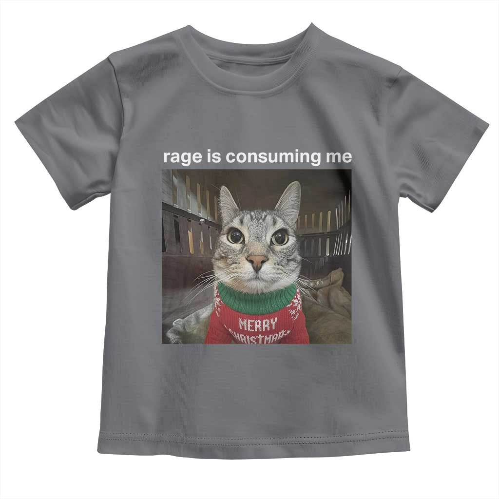 Rage Is Consuming Me Christmas Toddler T Shirt Funny Silly Staring Cat Meme Xmas Ugly Sweater TS11 Charcoal Print Your Wear